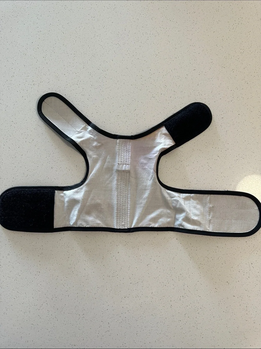 Kitty Holster - Purple Cat Harness with Black Trim and D-Ring.Size:S/M